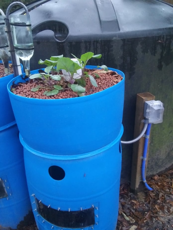 aquaponics system