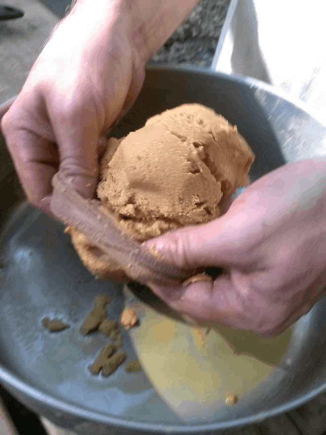 making acorn flour