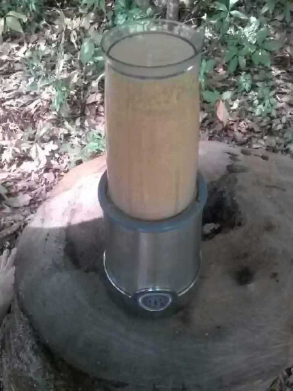 acorn flour in a blender