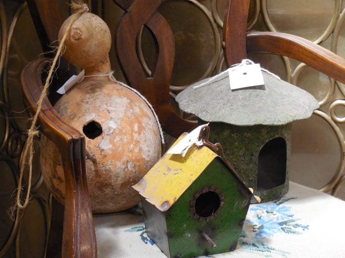 birdhouse gourds