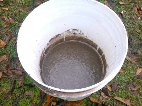 bucket of wet ash mixture