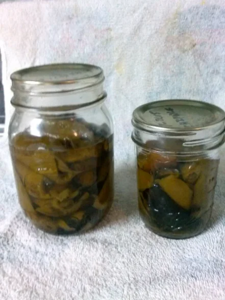 canned chipotle peppers