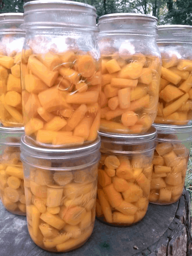 pressure canned carrots