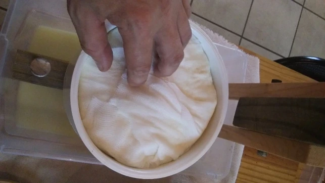 cloth wrapped curds in cheese press