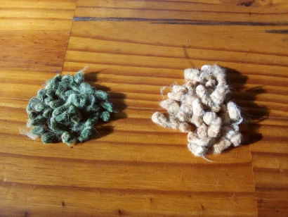cotton seeds on table