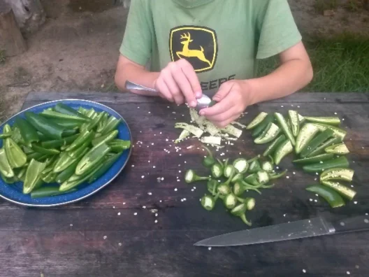cutting jalapeno peppers