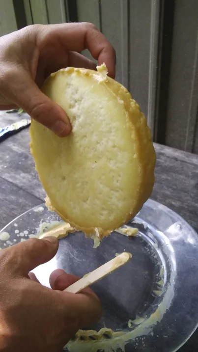 flipping cheese wheel to wax the other side