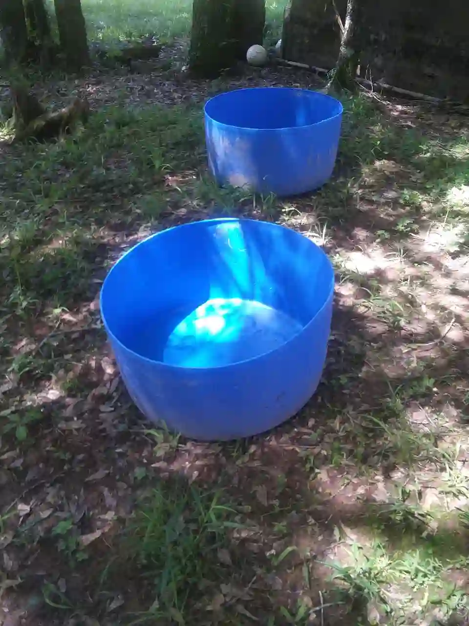 empty grow beds