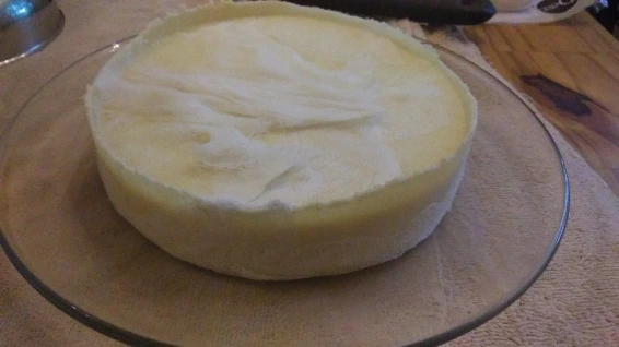 hard cheese wrapped