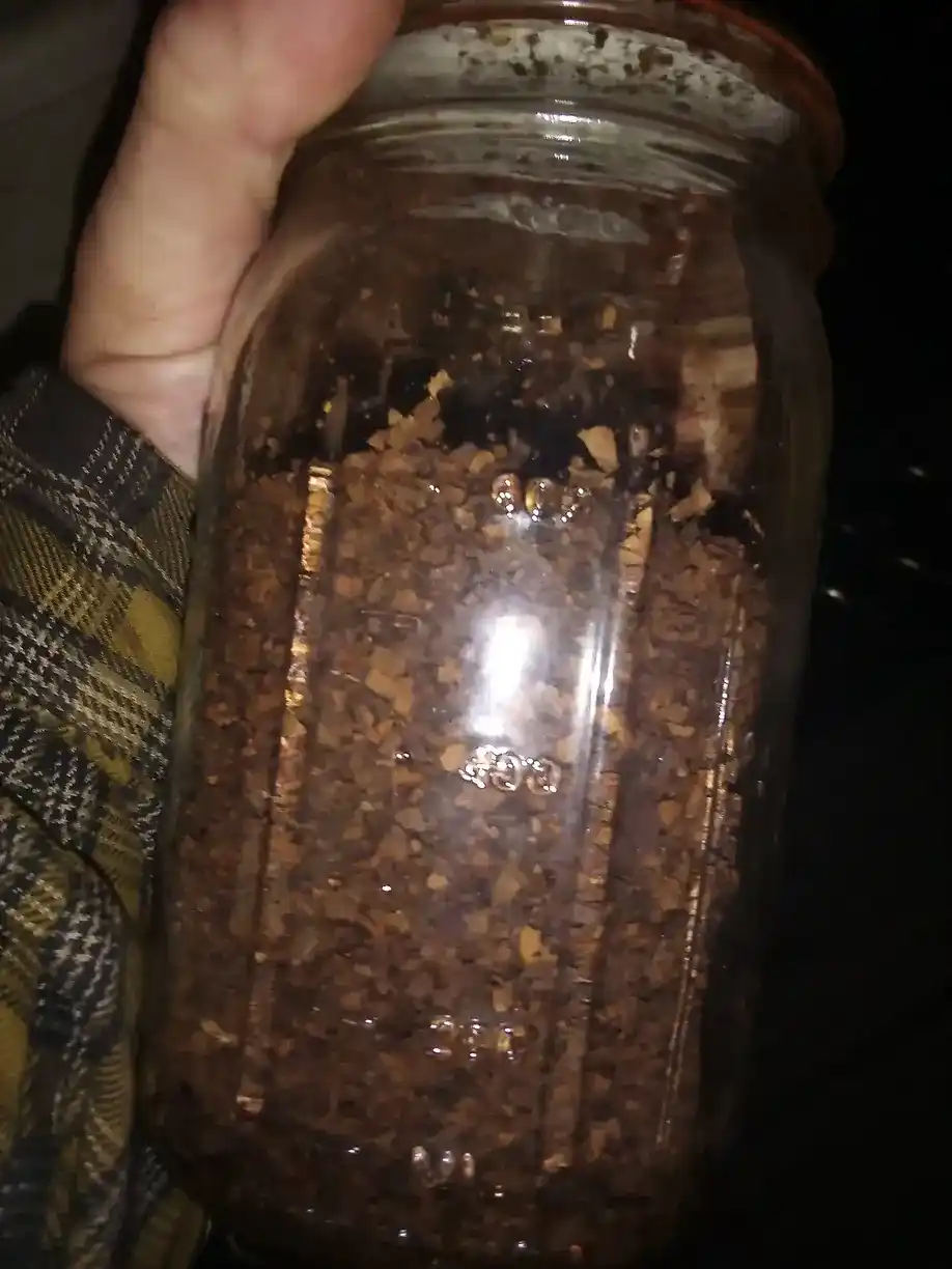 Growing Tobacco