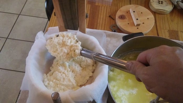 making cheese