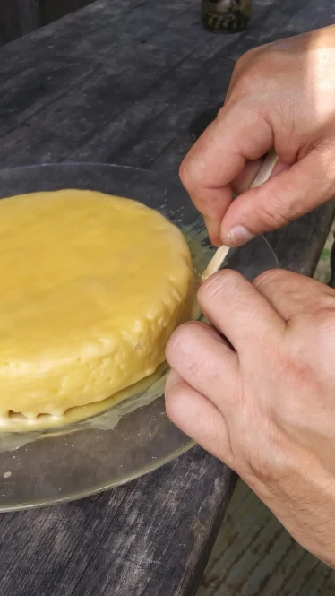 prying waxed cheese wheel from plate
