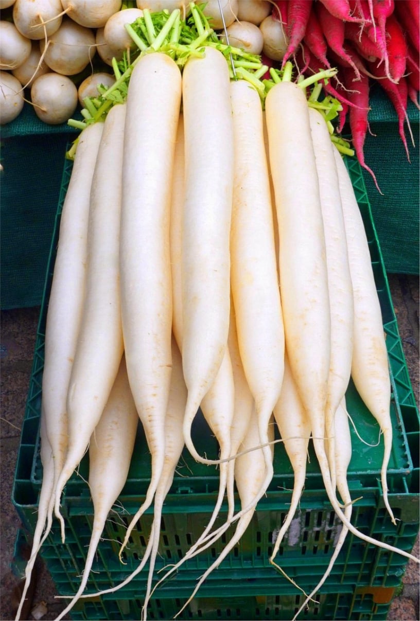 White Icicle Radish