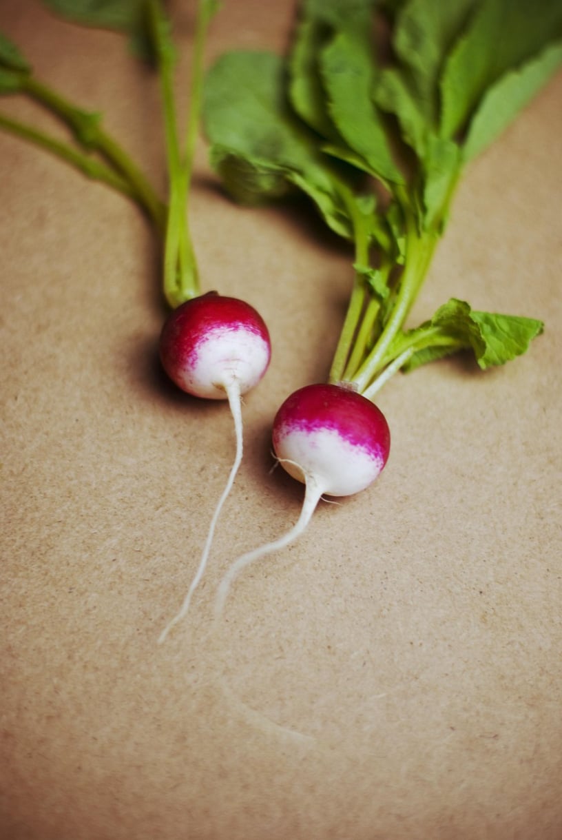 Sparkler White Tip Radish