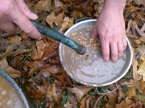 rinsing hominy in colander