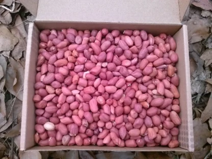 shelled peanuts in a box