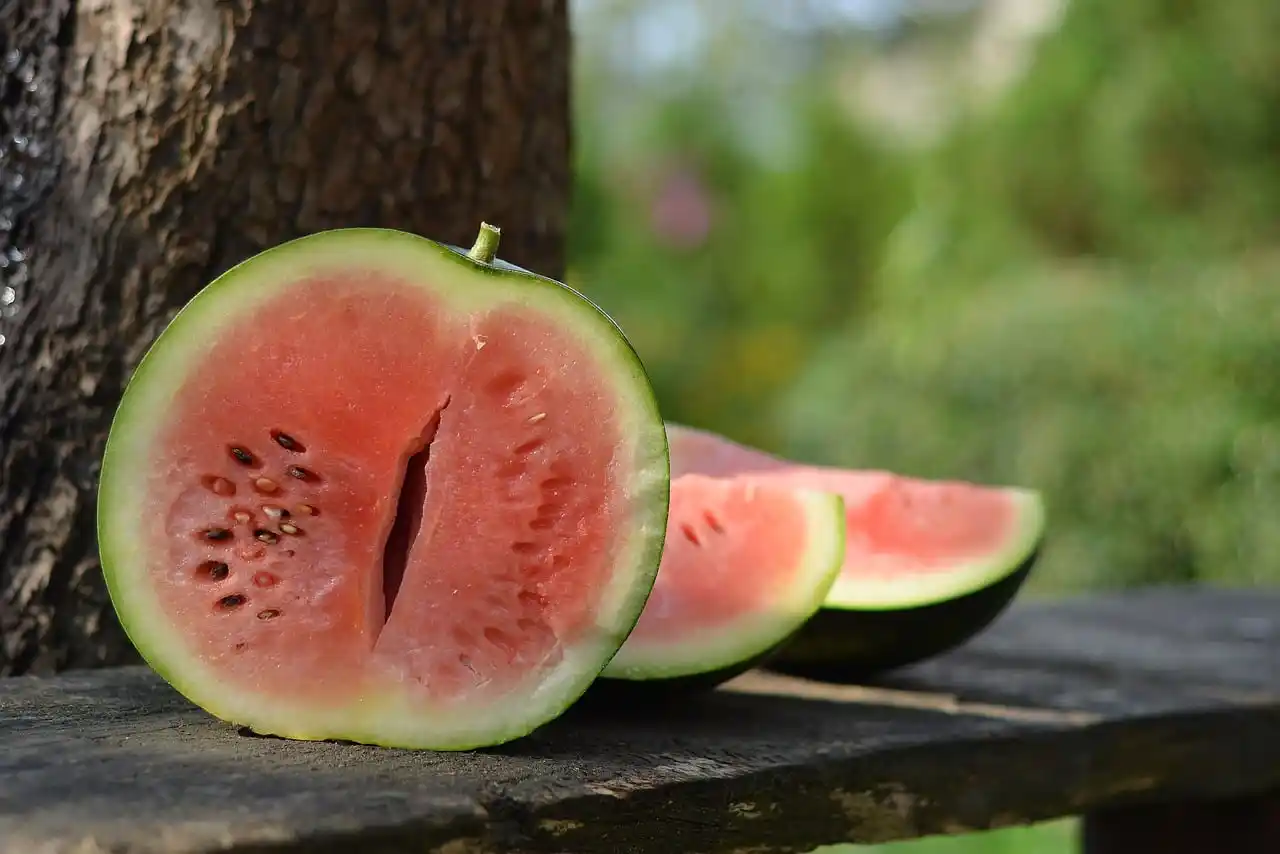 sugar baby watermelon sliced