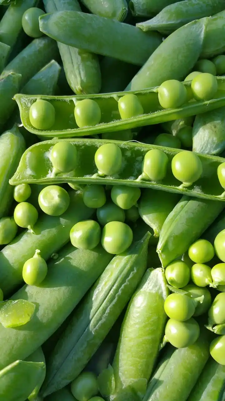 sweet peas english peas