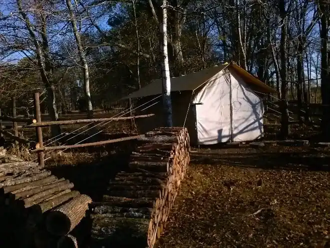 preppers seed kit