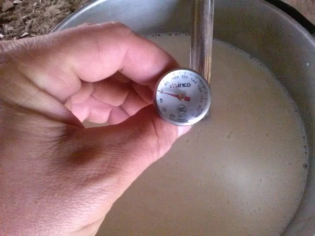 thermometer in milk