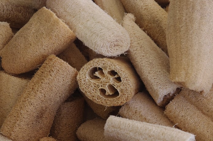 luffa sponges