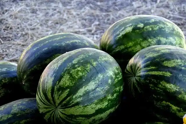 orange watermelon